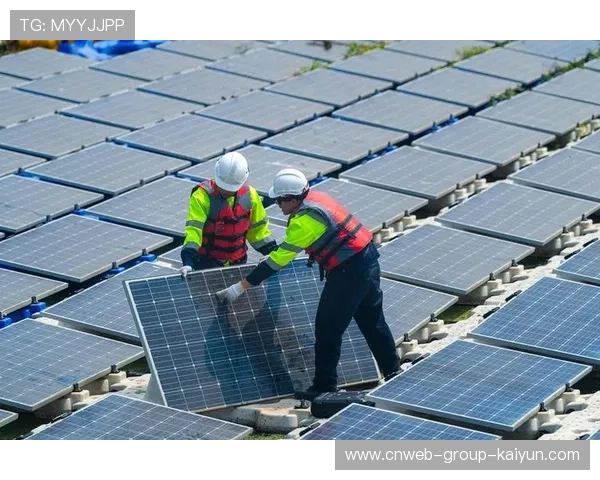 太阳继续狂飙：太阳能时代的无限可能